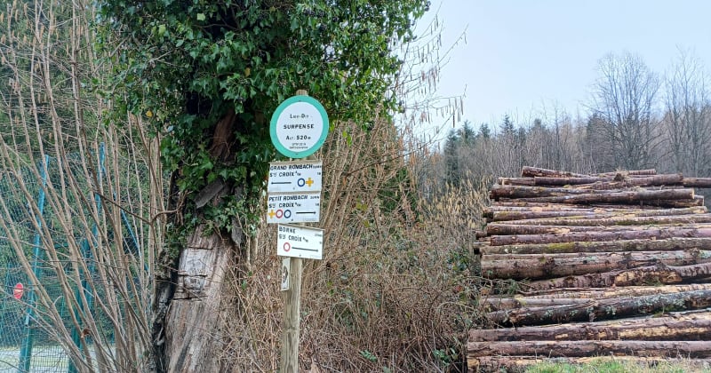 Balade sur les hauteurs de Sainte-Croix-aux-Mines - Sainte-Croix-aux-Mines