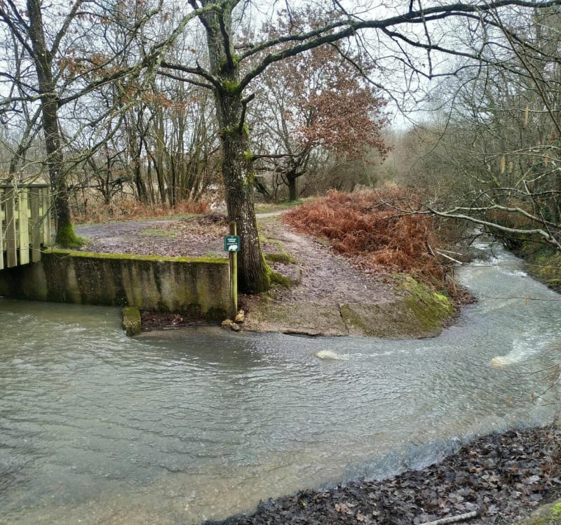La boucle  dans le parc de la Charbonnière - Marigny-les-Usages