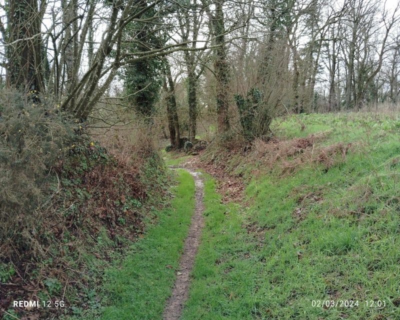 Découverte du coglais - Maen Roch