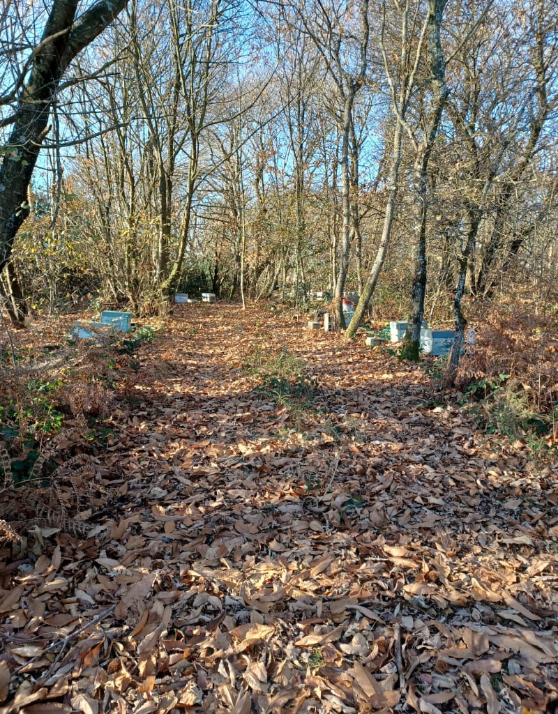 Les hauts d'Heyrieux et la combe de Valencin - Heyrieux