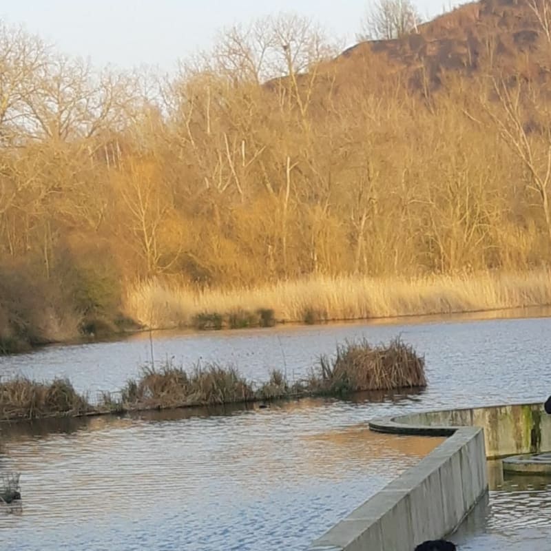 Parc des Berges de la Souchez - Noyelles-sous-Lens