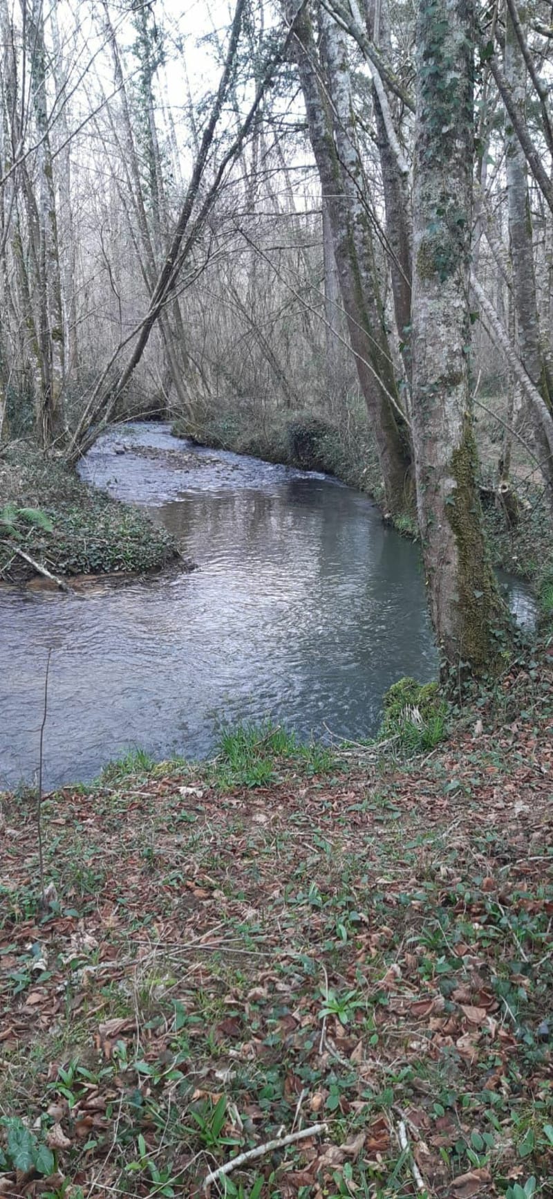 Parcours à pied à Oursbelille - Oursbelille