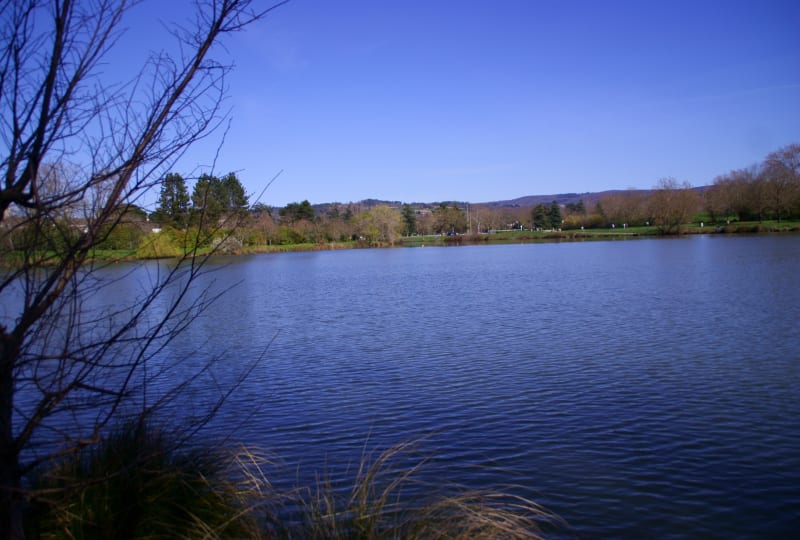 Du côté de la Borde Basse à Castres - Castres