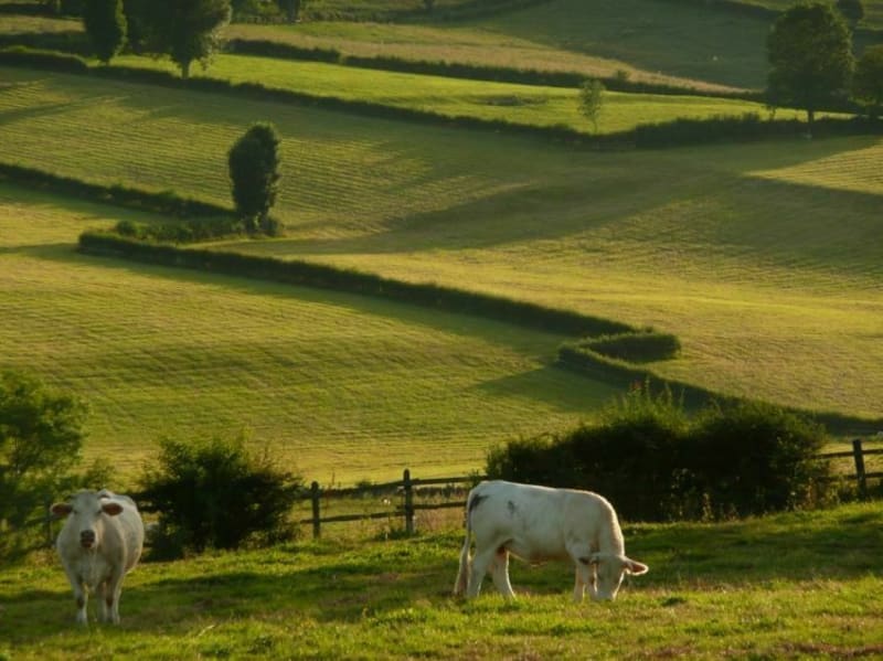Un vallon magique dans  bocage Brionnais - Saint-Christophe-en-Brionnais