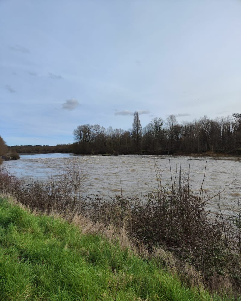 Le long du Cher - Montrichard Val de Cher