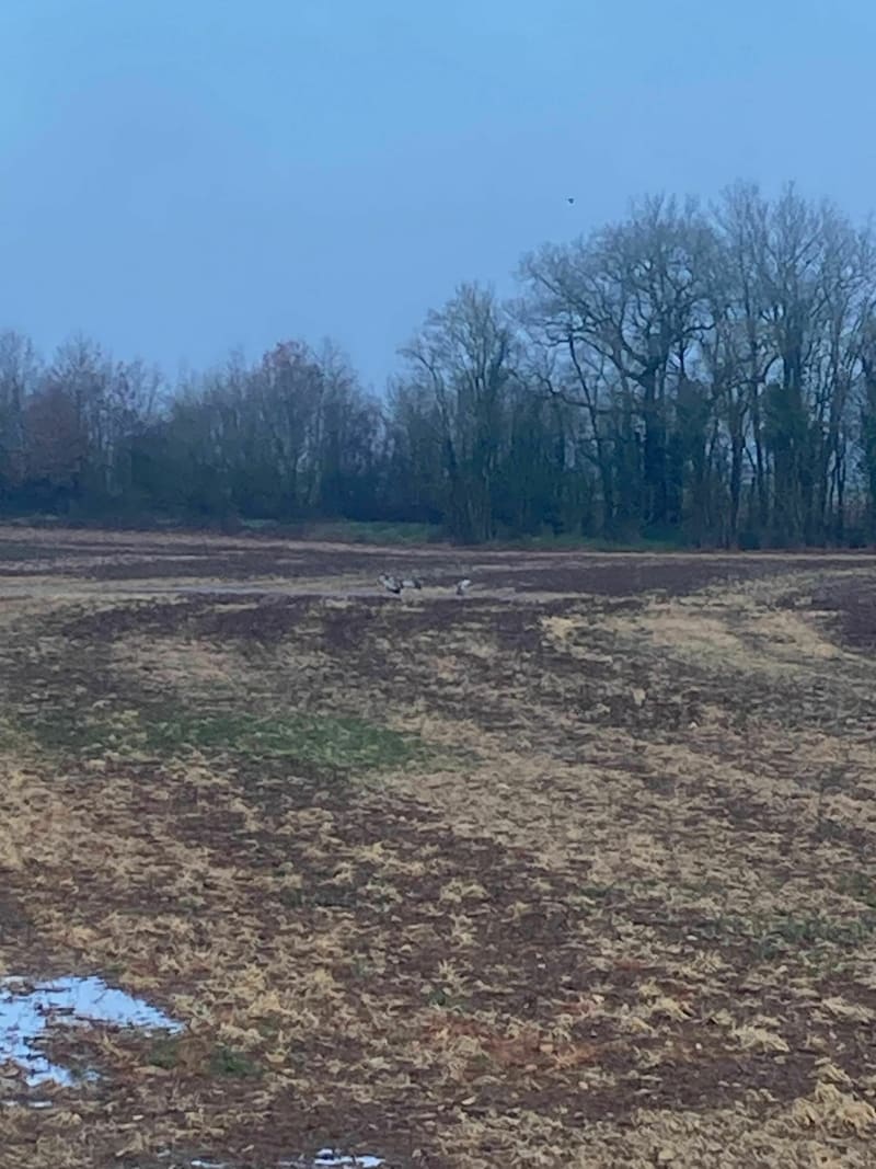 VTT Vaux-Rouillac - Vaux-Rouillac