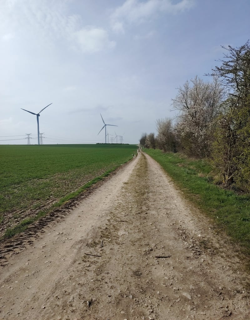 Le Tour des éoliennes à Etaimpuis - Étaimpuis