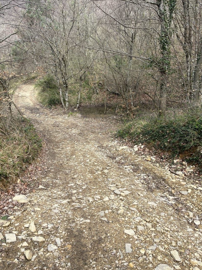 Petite balade au dessus de la Baume Cornillane - La Baume-Cornillane