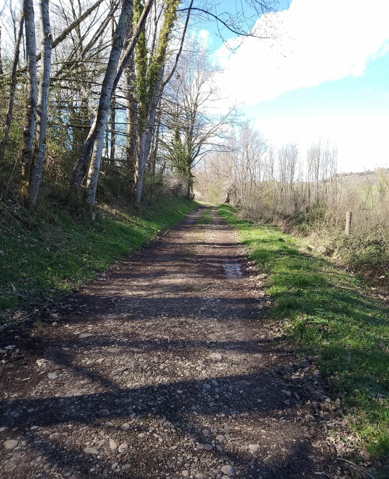 Mi-forêt mi-plaine à Valencin - Valencin
