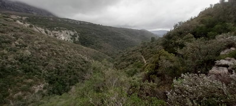 Montée à la grotte Mistral par des sentes méconnues - Nans-les-Pins