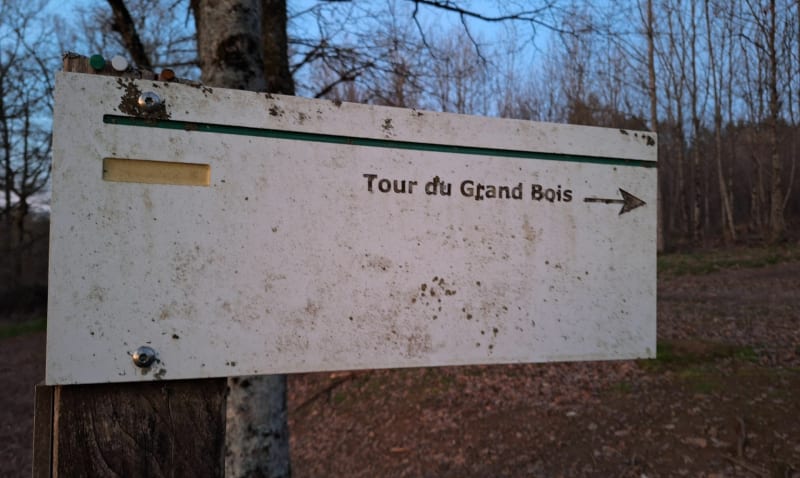 Tour du grand bois - Verneuil-sur-Vienne