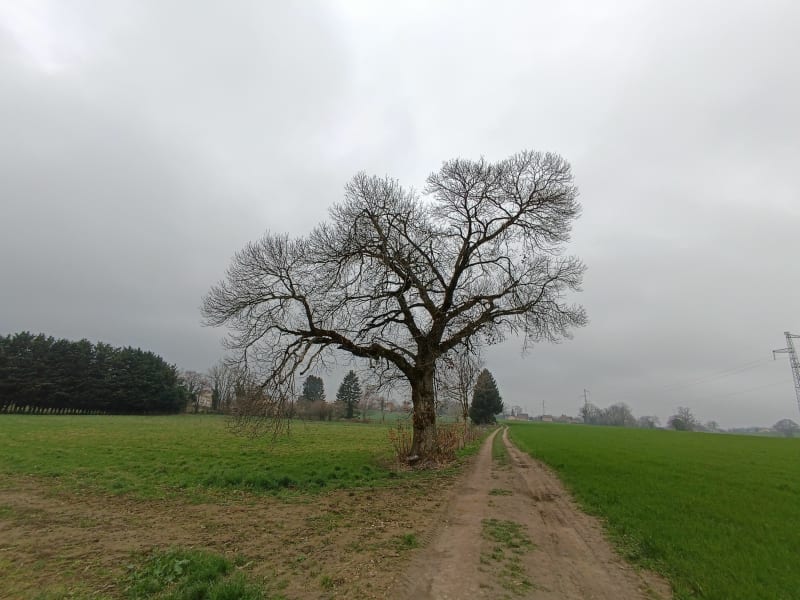 Balade entre Bâtie-Mongascon et Faverges - La Bâtie-Montgascon