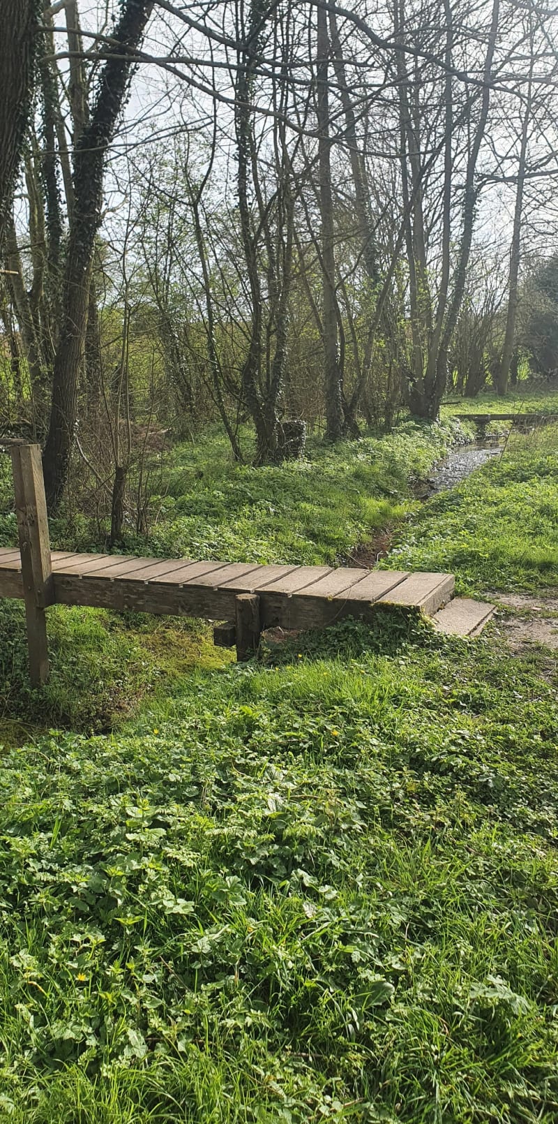 Le long du ruisseau à Aumerval - Aumerval