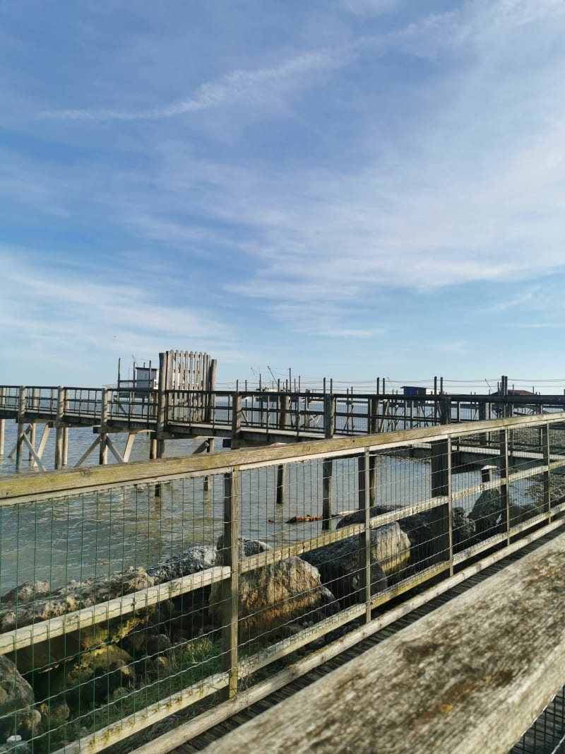Promenade bord de mer et marais - Aytré