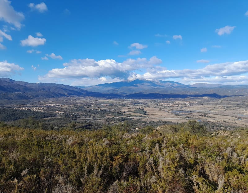Pic Estelle et Puig de les Saleres - Le Boulou