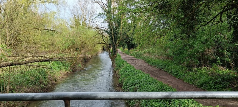 Le marais d'Annezin et le terril de Fouquereuil - Béthune