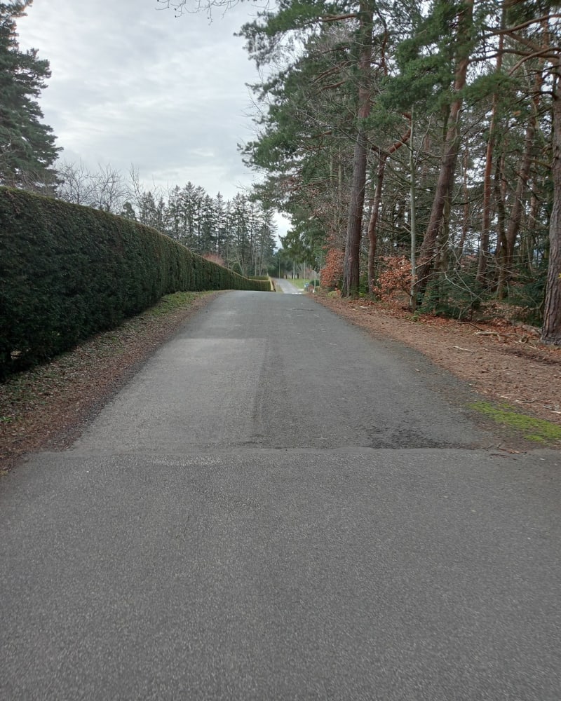A travers les chemins de Montfaucon-en-Velay - Montfaucon-en-Velay