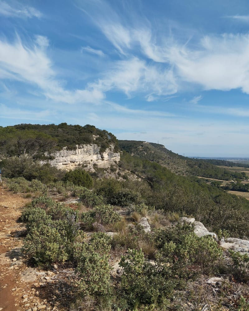 Balade sur les hauteurs de Chusclan - Chusclan
