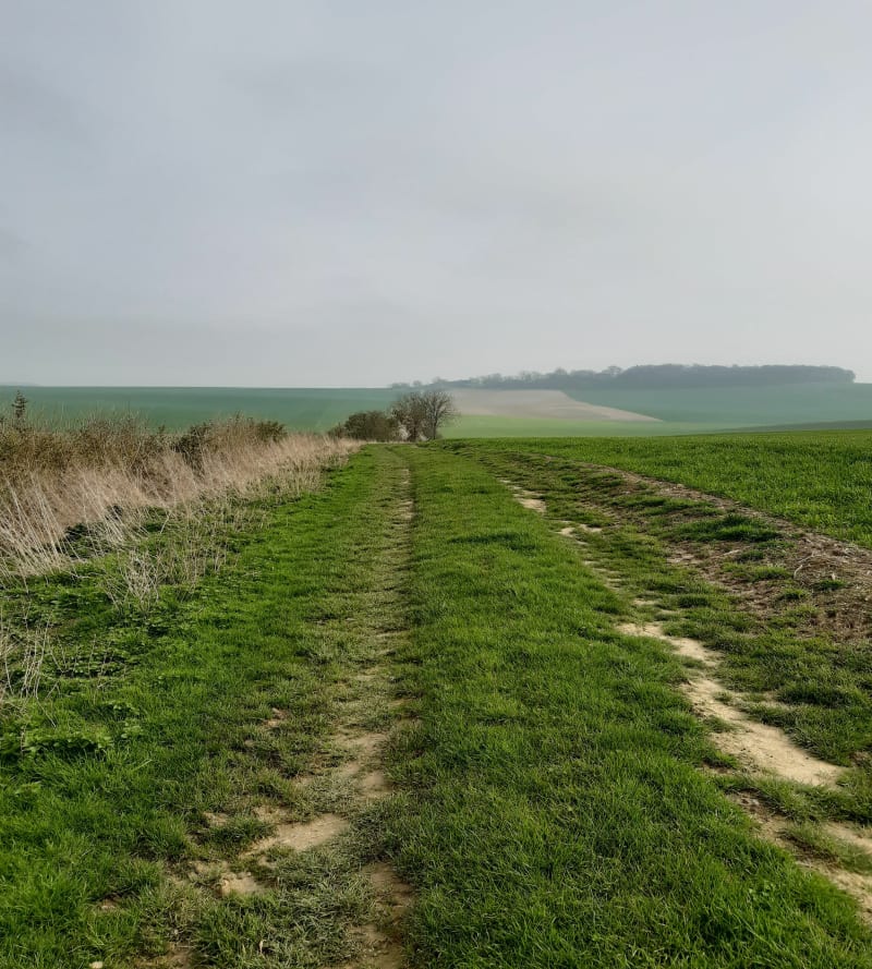 Chemin des romains - Châtillon-sur-Oise