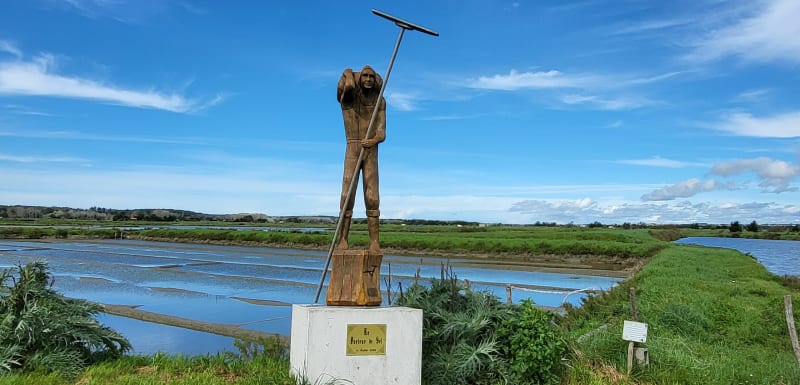 Balade dans les marais à Olonne-sur-mer - Les Sables-d'Olonne
