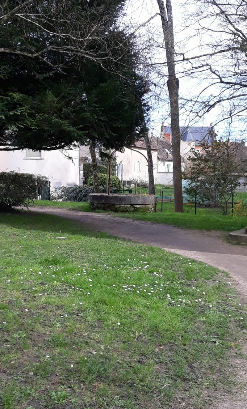 Balade autour de Lorris - Lorris