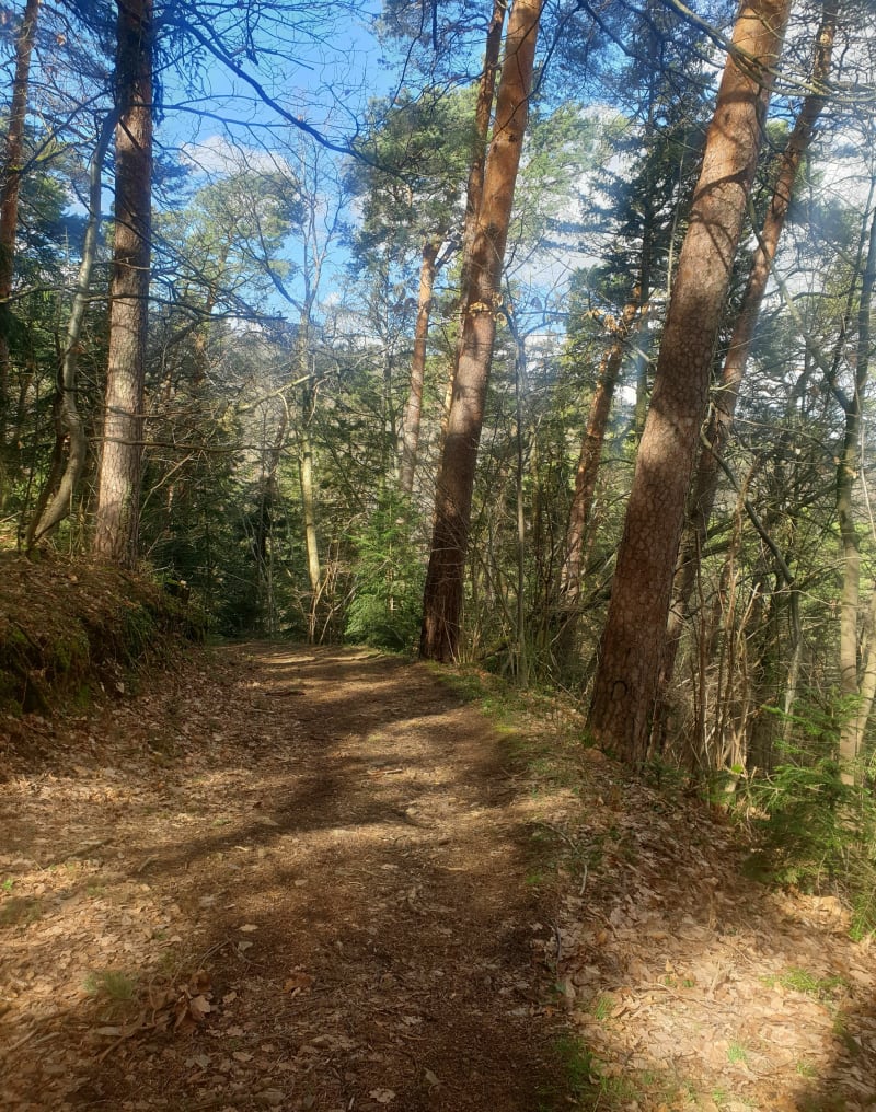 Autour de Charade et du Rocher du Salut - Royat