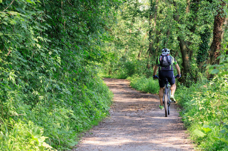 Tour de l'étang Ecopôle du Val D'Allier - Mur-sur-Allier