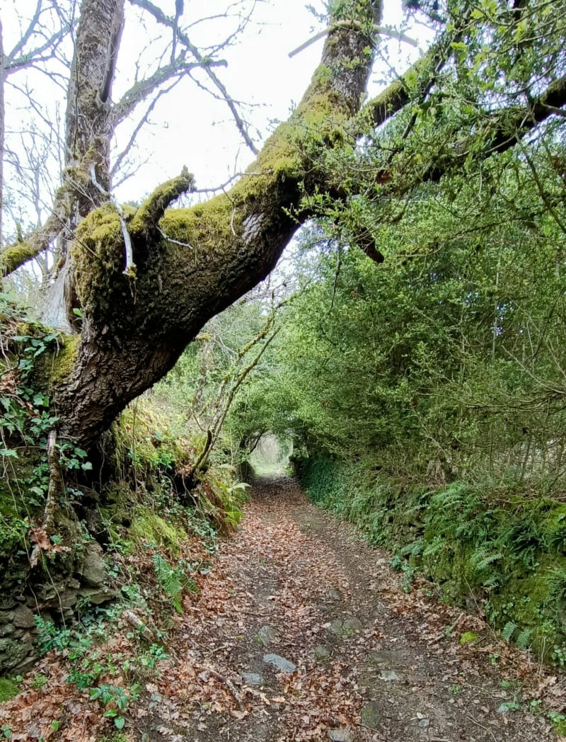 Petite balade entre Bor et Bar - Bor-et-Bar