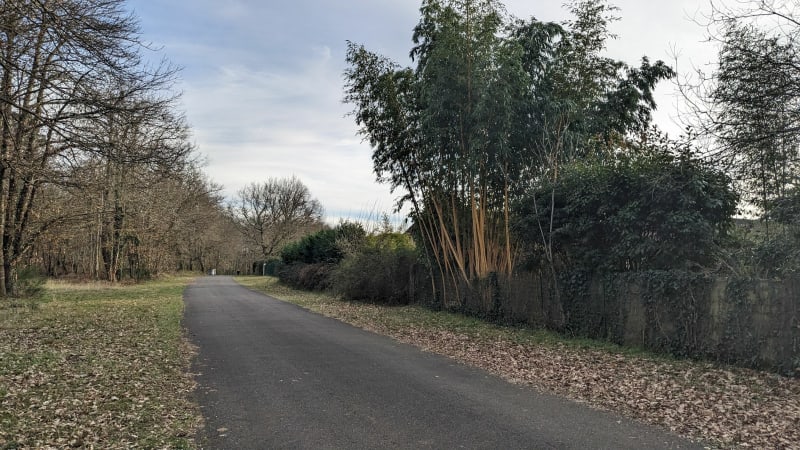 Belle balade jusqu'en forêt de Mazerolles - Bougue
