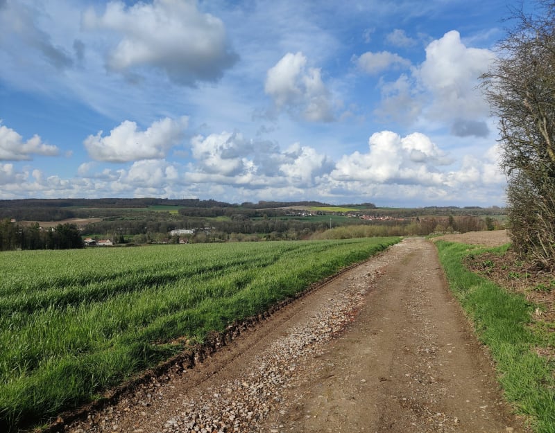 Petite balade dans les hauteurs d'Hallines - Hallines
