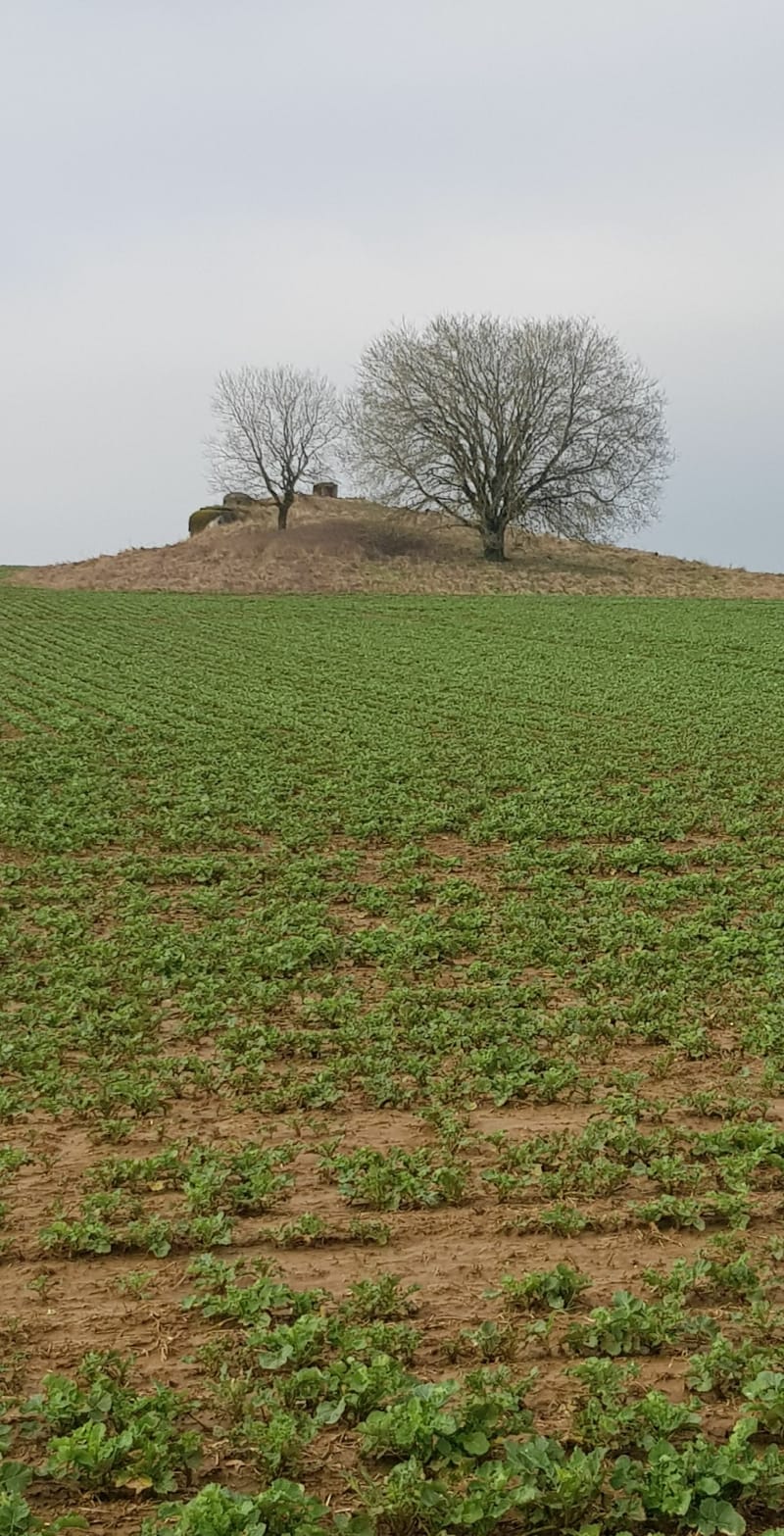 Crusnes, Ligne Maginot, et église de fer - Crusnes