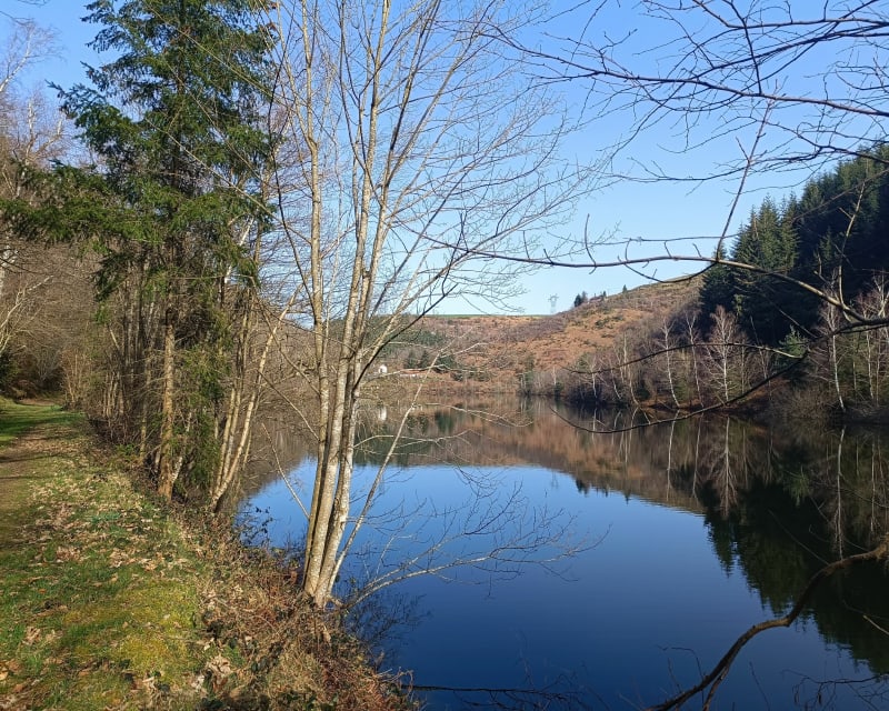 Boucle au départ du barrage de l'Ondenon - La Ricamarie