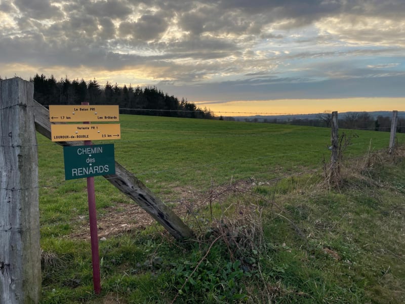 Boucle entre Louroux et Coutansouze - Louroux-de-Bouble