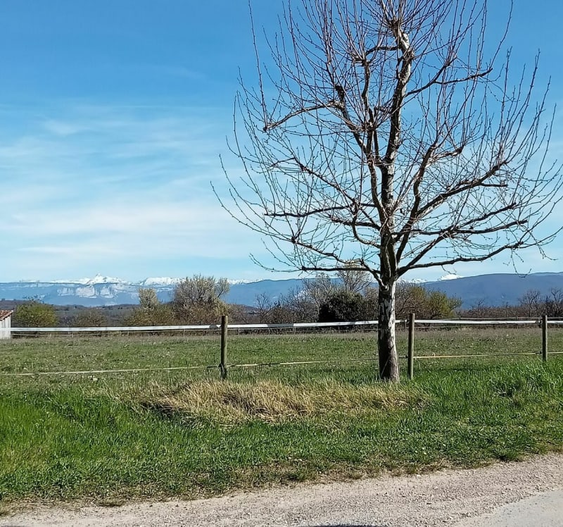 Petites routes de campagne depuis Peyrins - Peyrins