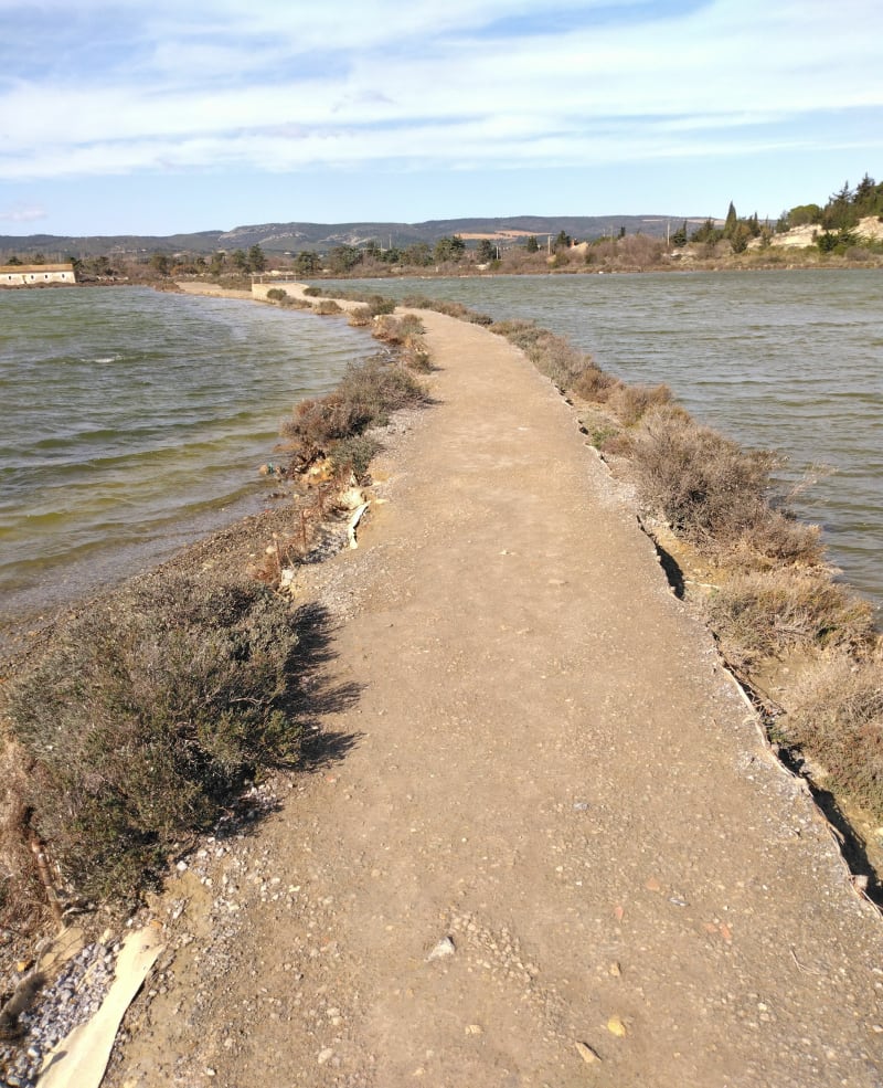 Petite boucle de l'étang du Doull - Peyriac-de-Mer