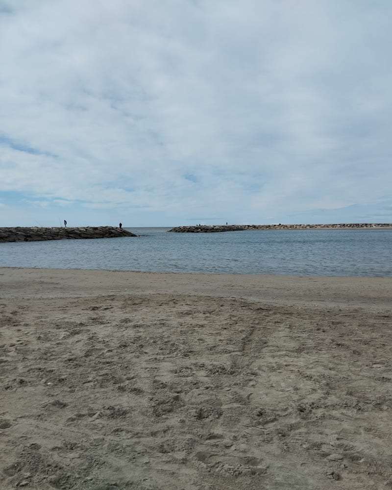 Balade jusqu'à l'embouchure du petit Rhône - Saintes-Maries-de-la-Mer