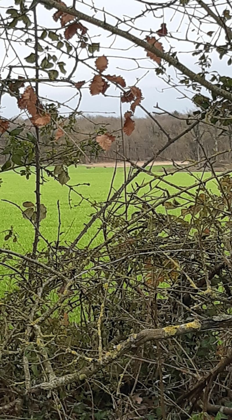 Sortie à pieds sur les bords de Poitiers - Poitiers