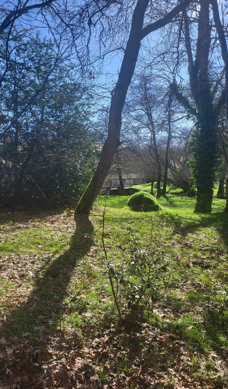 Vers le Moulin de Marian - Saint-Symphorien