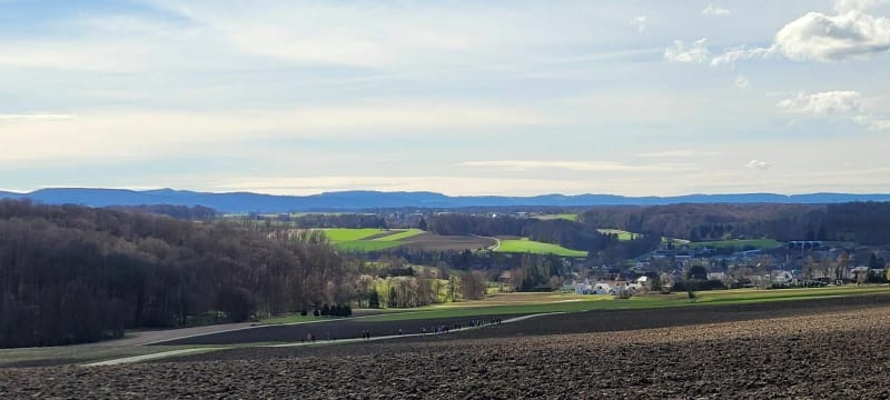 Hirsingue par Bettendorf en boucle - Hirsingue