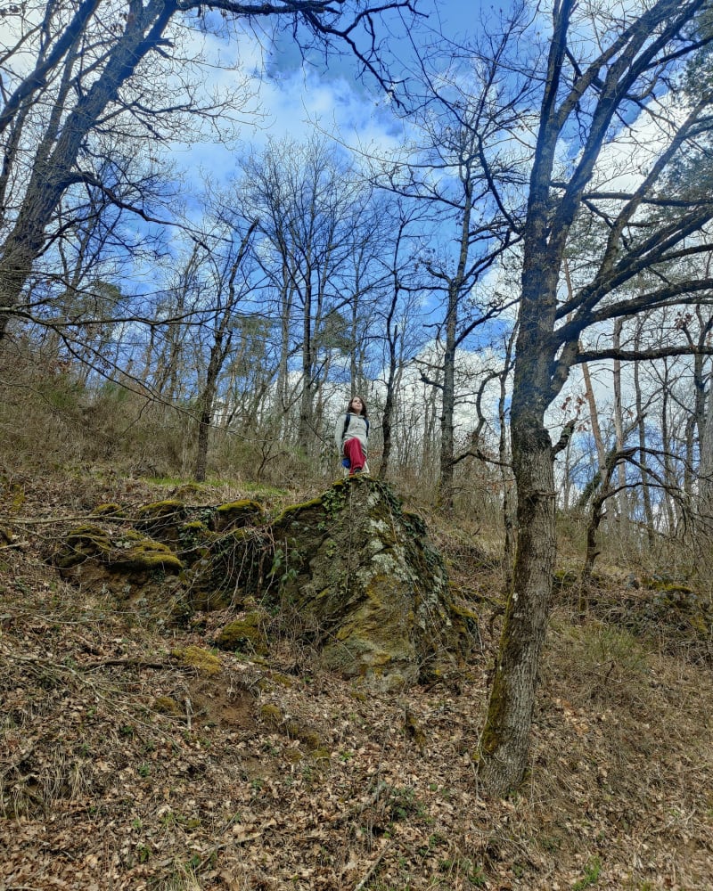 Chazelles et Bois de Pulchère - Chazelles-sur-Lyon