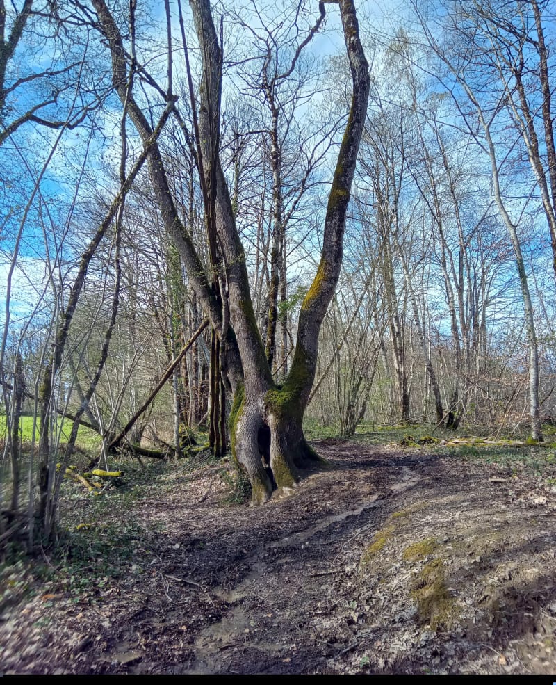 Balade à Saint-Victurnien - Saint-Victurnien