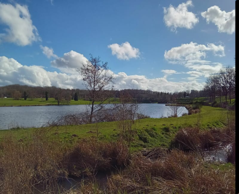 Limoges et Bois de la Bastide par le Lac d'Uzurat - Limoges