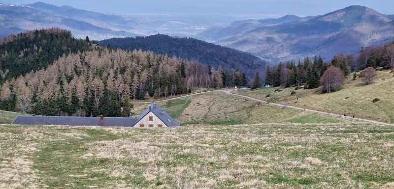 De l'auberge Obersolberg au Petit Ballon - Eschbach-au-Val