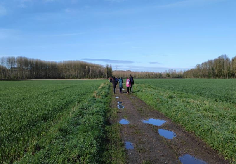 Marche au Bois des Ecluses - Flixecourt