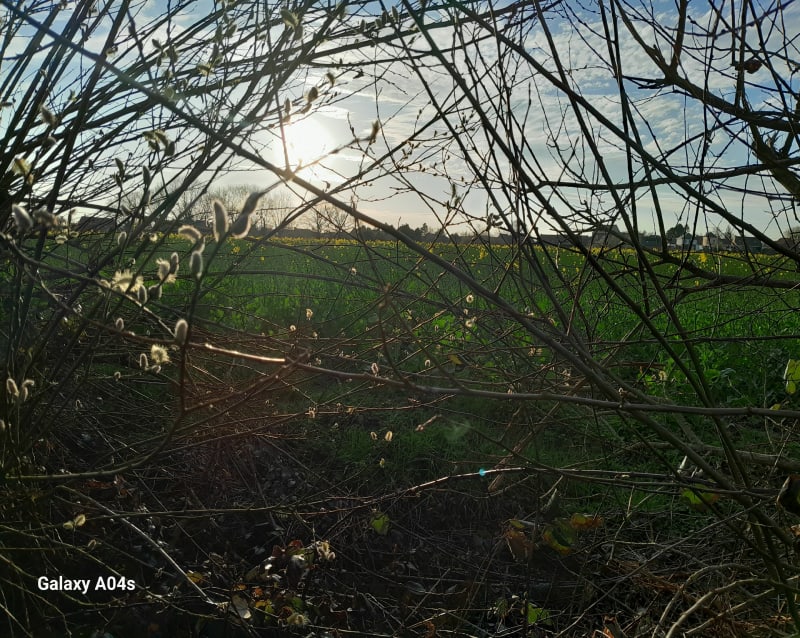 Promenade vers Raimbeaucourt sur la voie verte - Moncheaux