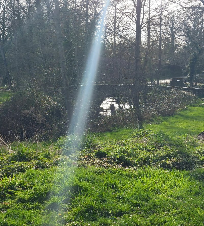 Boucle autour du Val de la Chézine par le bassin - Saint-Herblain
