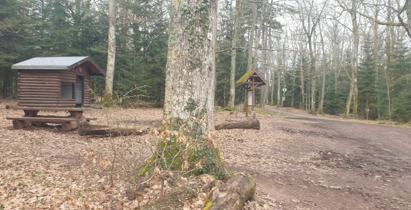 Balade entre Wuenheim et Wattwiller - Soultz-Haut-Rhin