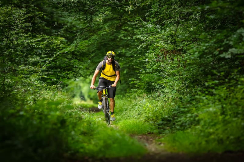 Balade dans la Forêts de  Bussac - Bussac-Forêt