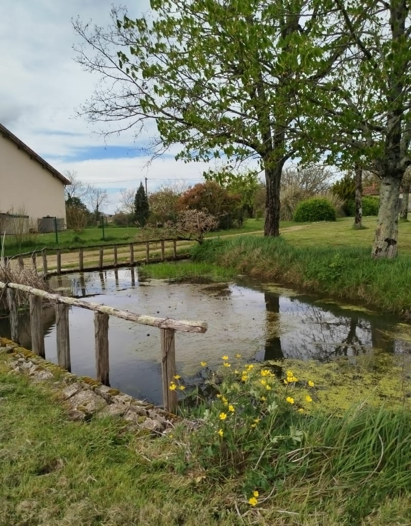 Chemins vers le château de Sansac - Chassiecq