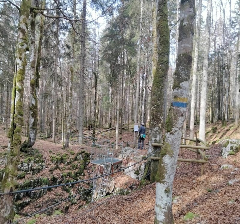 Randonnée dans le Jura depuis le hameau de la Chaumoz - Chapelle-des-Bois